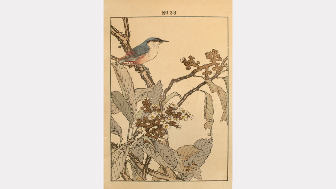 Keinen (1845 - 1923),
Nuthatch and Loquat, 1892.
Keinen’s Flower-and-Bird Painting Manual (Keinen kacho gafu),
Woodblock Print,
14.5 x 10.25 (inches). Courtesy of the artist and Ronin Gallery