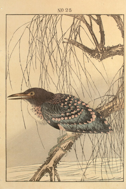 Keinen (1845 - 1923), Night Heron and Withering Willow, 1892.
Keinen’s Flower-and-Bird Painting Manual (Keinen kacho gafu).
Woodblock Print. 14.5 x 10.25 (inches)
Courtesy of the artist and Ronin Gallery