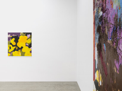 Tala Worrell, Phosphenes, 2023, installation view. Courtesy of Parrasch Heijnen, LA