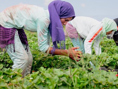 Adaptation to climate change is focused mainly on controlling irrigation water