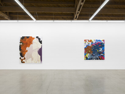 Tala Worrell, Phosphenes, 2023, installation view. Courtesy of Parrasch Heijnen, LA