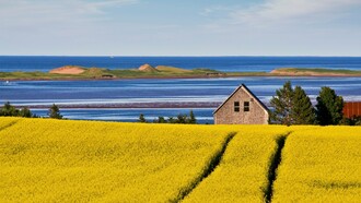While the TV show was also filmed in Ontario to replicate the 19th-century setting, showing the visual of the Island was the main objective