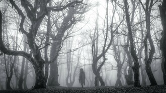 A spooky figure in a forest, representing the unknown forces humans have historically filled with cryptids and legends