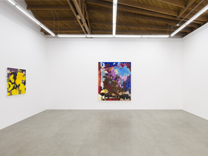 Tala Worrell, Phosphenes, 2023, installation view. Courtesy of Parrasch Heijnen, LA