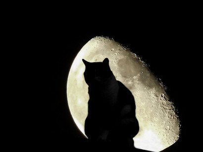 Halloween is a devil’s holiday