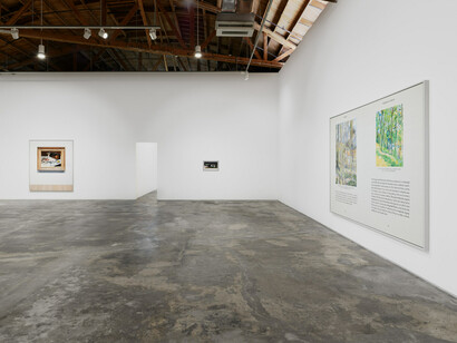 Cynthia Daignault, The lemon, exhibition view. Courtesy of Night Gallery