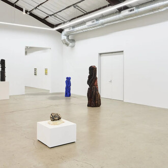 Ryan Schneider, Earth canal, exhibition view. Courtesy of The Pit