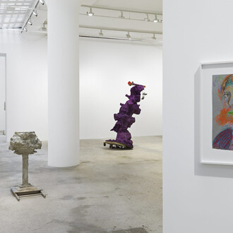 Rachel Harrison, The Friedmann equations, exhibition view. Courtesy of Greene Naftali Gallery