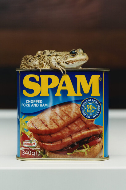 Charles Negre and Aline Joana Ruede, Untitled, 2024. Courtesy of Mudac