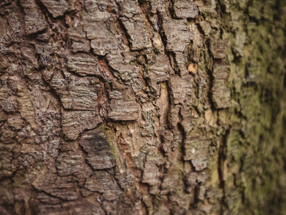 La continuité cachée dans la nature