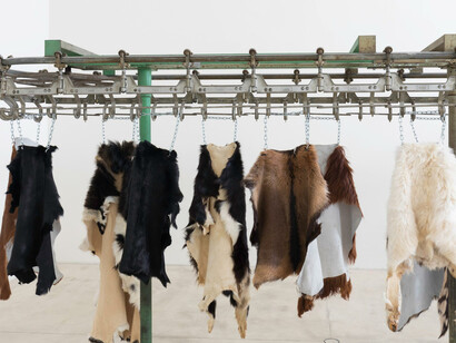 Anthony Olubunmi Akinbola, Western beef, exhibition view. Courtesy of Galerie Krinzinger