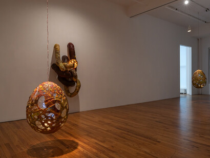 Ajay Kurian, Peanuts (Deluxe), exhibition view. Courtesy of 47 Canal
