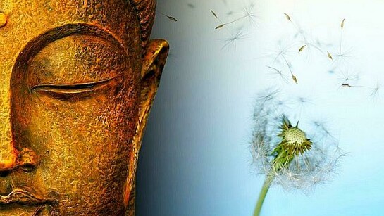 Gautama Buddha and the nature