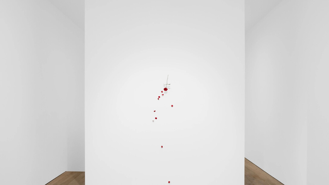 Suda Yoshihiro, exhibition view. Courtesy of Sadie Coles HQ