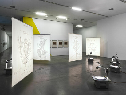 Various artists, Knowledge is a garden, exhibition view. Courtesy of Migros Museum