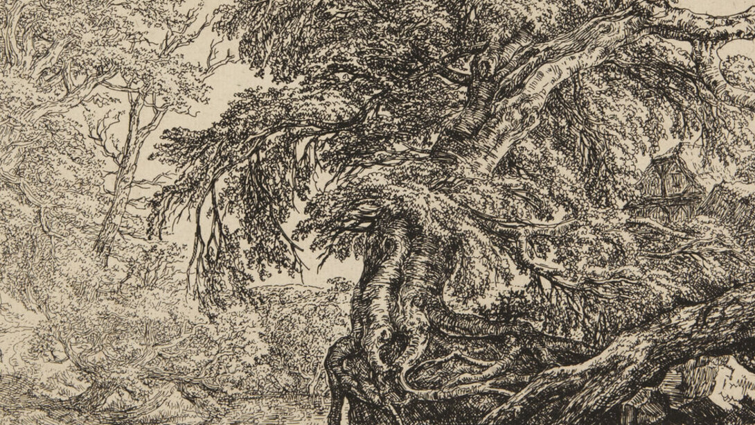 European Art. Courtesy of Princeton University Art Museum
