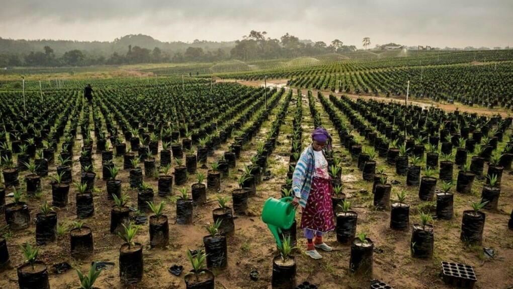 Morocco Generation Green