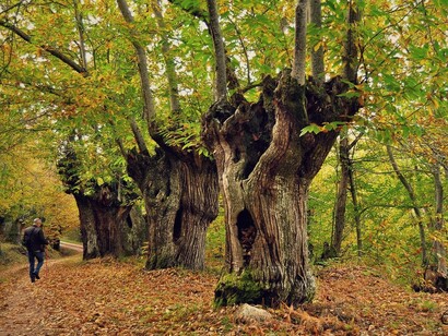 A Pobra de Trives, Ourense. Entorno natural