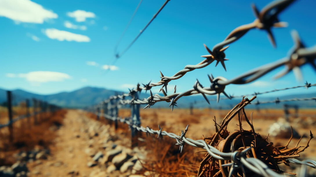 Barbed wire fence under cloudy blue sky depicts stringent border security measures, reflecting the urgency of managing the refugee crisis and strengthening border control