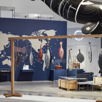 Expedition to the world's oceans, exhibition view. Courtesy of Bundeskunsthalle