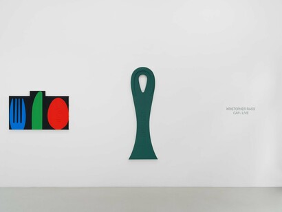 Kristopher Raos, Can I live, exhibition view. Courtesy of Charlie James Gallery