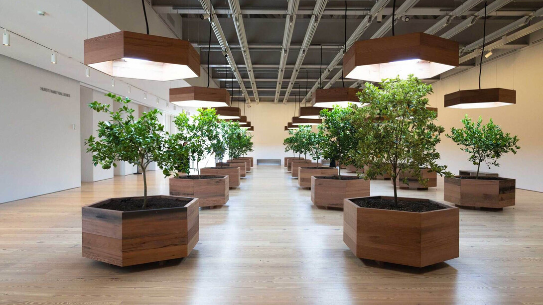 Helen Mayer Harrison y Newton Harrison, Pieza de supervivencia #5, huerto portátil, vista de exhibición. Cortesía de Whitney Museum