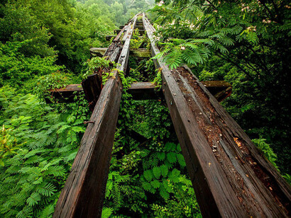 Jason Thrasher, Murmur trestle, 2013, printed 2024. Courtesy of Georgia Museum of Art