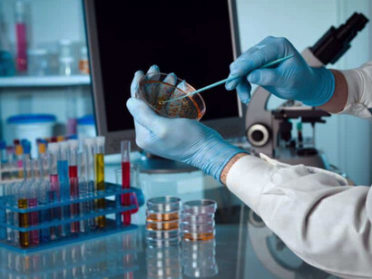 A scientist doing a stem cell culture