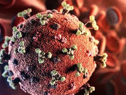 A pandemic announced long ago and in vain