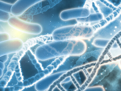 Bionics is a medical engineering field consisting of systems that imitate biological systems