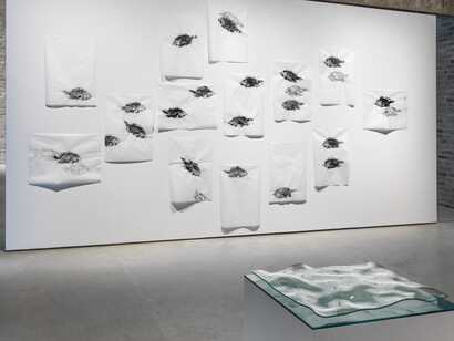 400 Million Years, Exhibition view. Courtesy of König Galerie