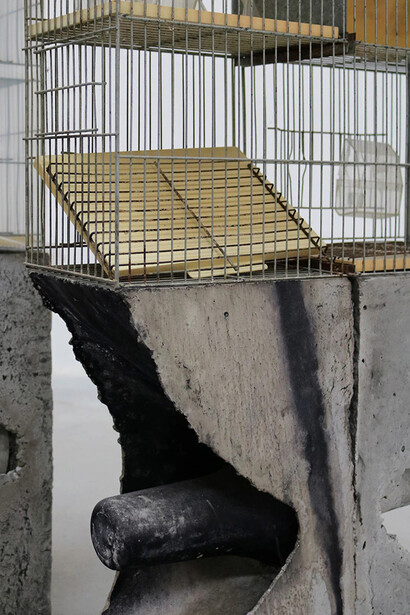 Pablo Capitán del Río, La otra selva, exhibition view. Courtesy of Art Nueve