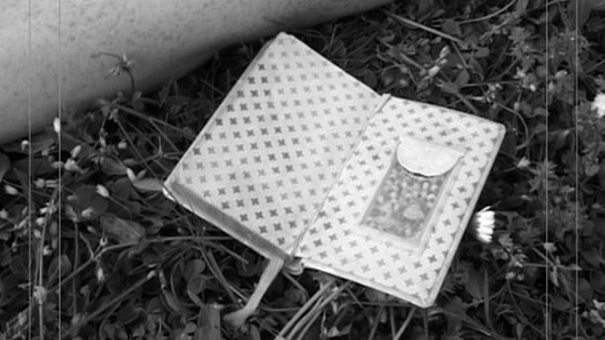 Le Vergini studio no. 2, video loop, b/n, Corpicrudi, 2011 - courtesy Guidi&Schoen