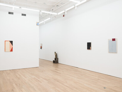 Jim Lee, In every dream home, exhibition view. Courtesy of Nicelle Beauchene Gallery