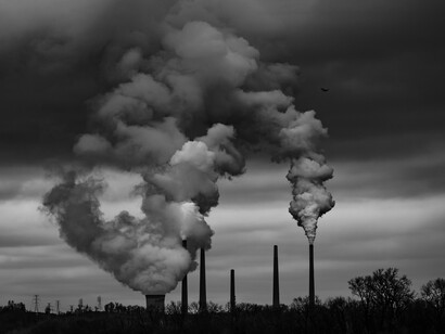 Valuing ecological sustainability is the logical next step after valuing information, making ecological sustainability the new profit center