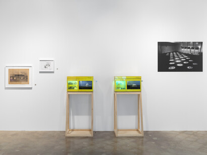 Carl Cheng, Nature never loses, exhibition view. Courtesy of Institute of Contemporary Art