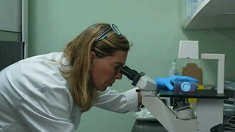 Tatiana Coelho de Sampaio. Criada a partir de proteínas extraídas da placenta humana, a polilaminina pode ser aplicada diretamente na área lesionada da medula espinhal, promovendo a regeneração dos circuitos nervosos e a recuperação das funções motoras anteriormente comprometidas