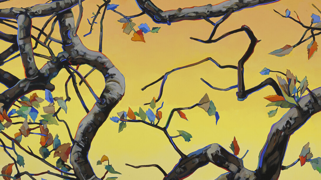 John Fincher, Blue leaf limb, 2011. Courtesy of LewAllen Galleries