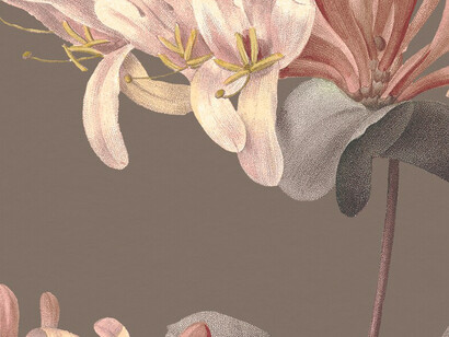 Vintage floral background with a gloxinia flower illustration, beautifully remixed from public domain artworks