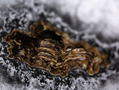 Khadija Jayi, Volcan (detail), 2019. Courtesy the Artist and October Gallery,