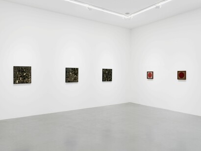 Vue de l'exposition de Gabriel de la Mora Élan
Vital à la galerie Perrotin, Paris, 2024. Photo:
Claire Dorn. ©Gabriel de la Mora/ADAGP, Paris,
2024. Courtesy of the artist and Perrotin