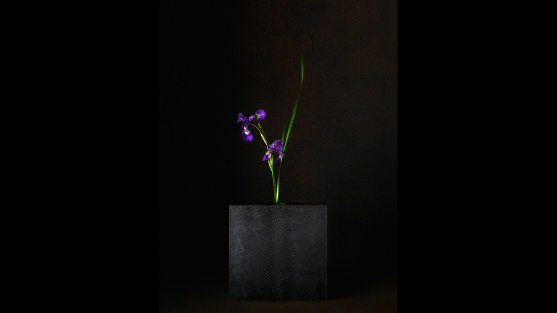 A Stage. Courtesy of Galerie marie-robin