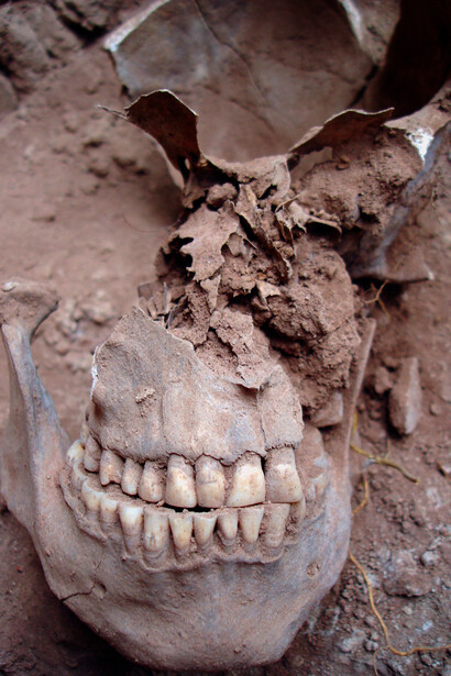 Remanescentes esqueletais encontrado em Lapa do Santo, região de Lagoa Santa em Minas Gerais, um sítio arqueológico que registra a presença humana no Brasil desde 12 000 anos atrás