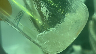 ácido perfluorooctanoico (PFOA) visto en una emulsión