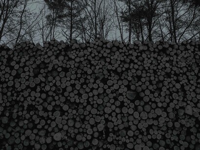 Firewood reserves
