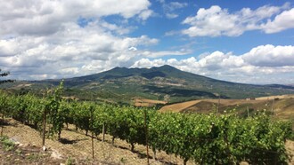 L’Aglianico del Vulture è un vino rosso DOCG prodotto in Basilicata, nelle pendici del Monte Vulture, un antico vulcano spento. Foto del panorama del Monte Vulture con una vigna di Aglianico del Vulture di Gianmarco Tirico