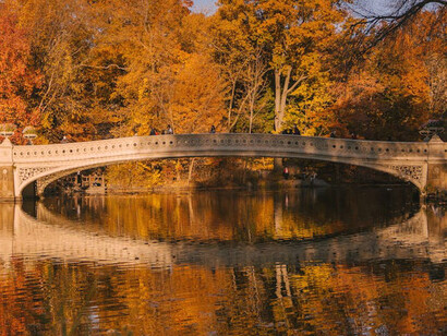 As the leaves rustle underfoot, the beauty of Central Park in New York City serves as a perfect backdrop for reflection and inspiration amid the bustling city