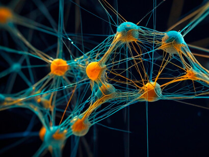 Neurônios. A jornada pelos neurotransmissores revela um universo fascinante de moléculas químicas que governam nossas funções cerebrais, influenciando desde nossos pensamentos e emoções até nosso movimento e interação com o mundo