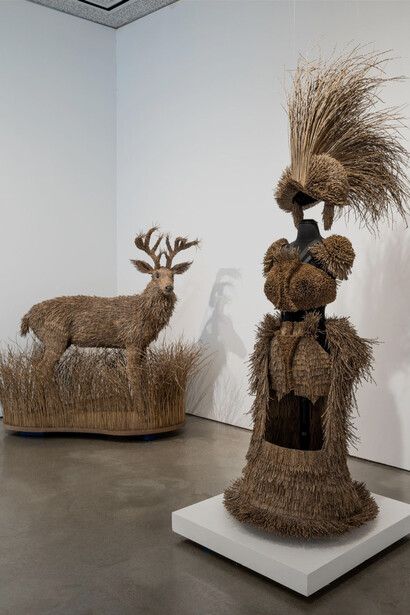 Melissa Meier, Nature's masquerade, exhibition view. Courtesy of Lois Lambert Gallery