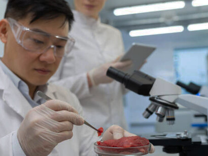 In a high-tech laboratory, a researcher closely inspects cultured meat, as a team of scientists works on experiments to perfect the process of lab-grown, cell-based meat production